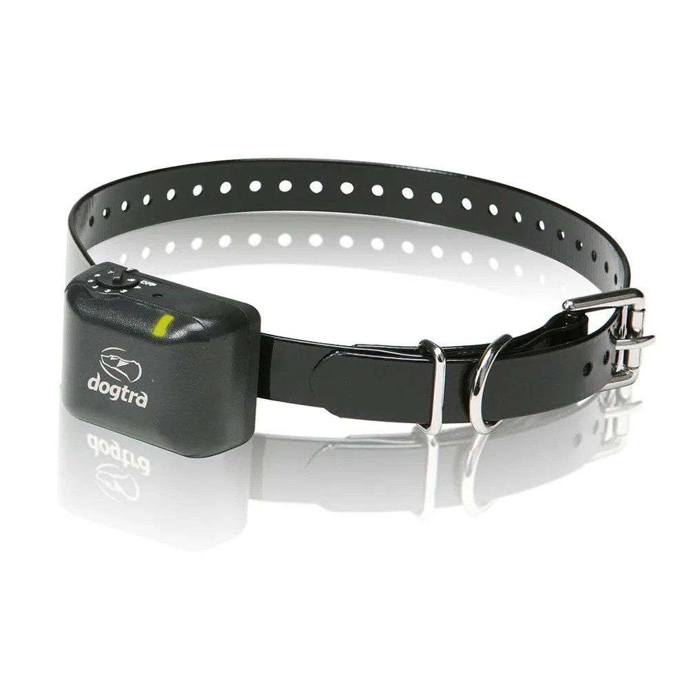 Dogtra YS300 No Bark Collar for Small/Medium Dogs shows the adjustable black strap and compact control unit