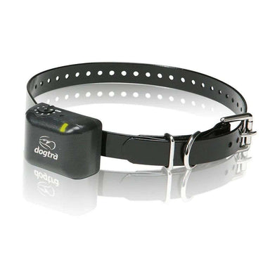 Dogtra YS300 No Bark Collar for Small/Medium Dogs shows the adjustable black strap and compact control unit