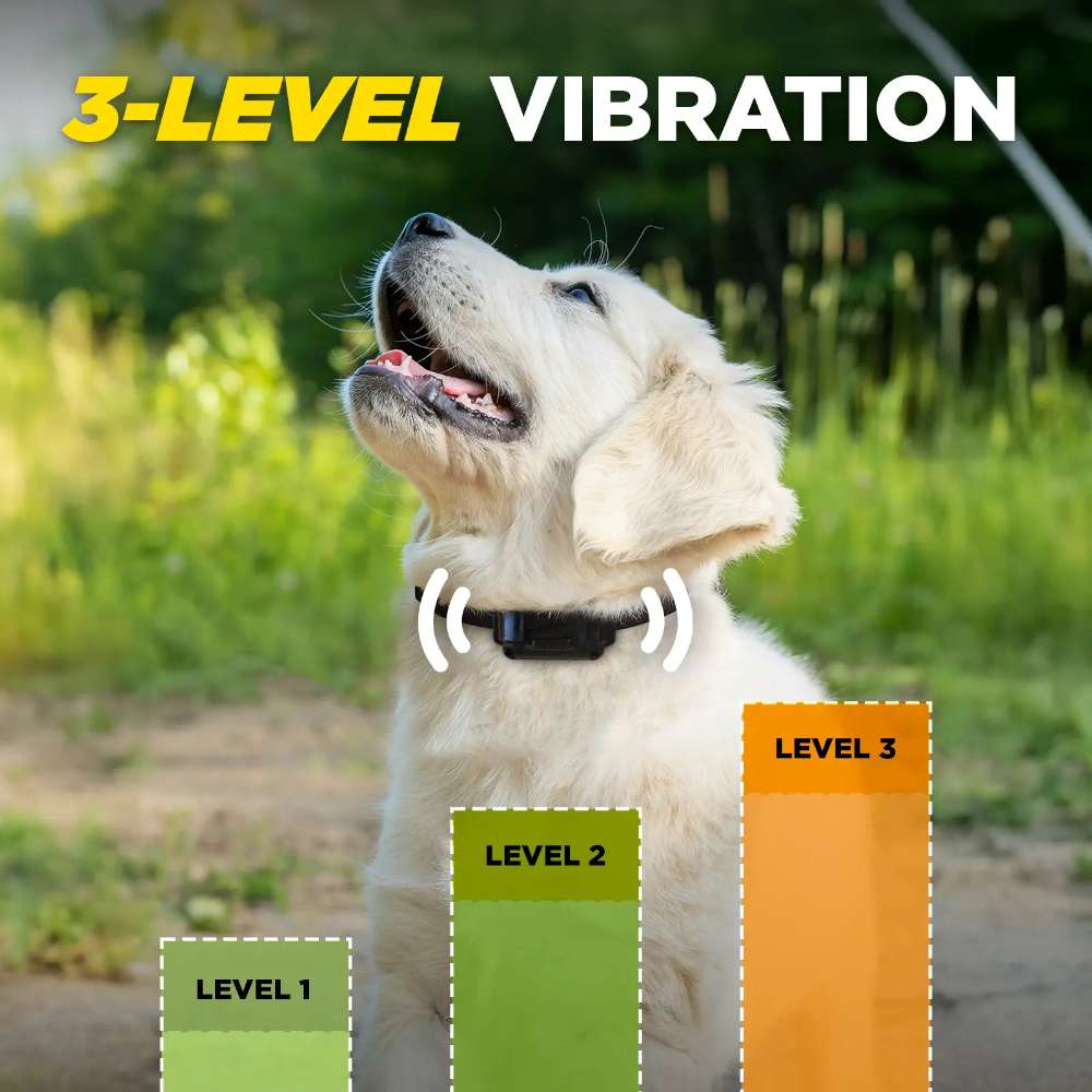 Dogtra iQ VIBE Dog Bark Control Collar is displayed with its retail box, showing the complete product package