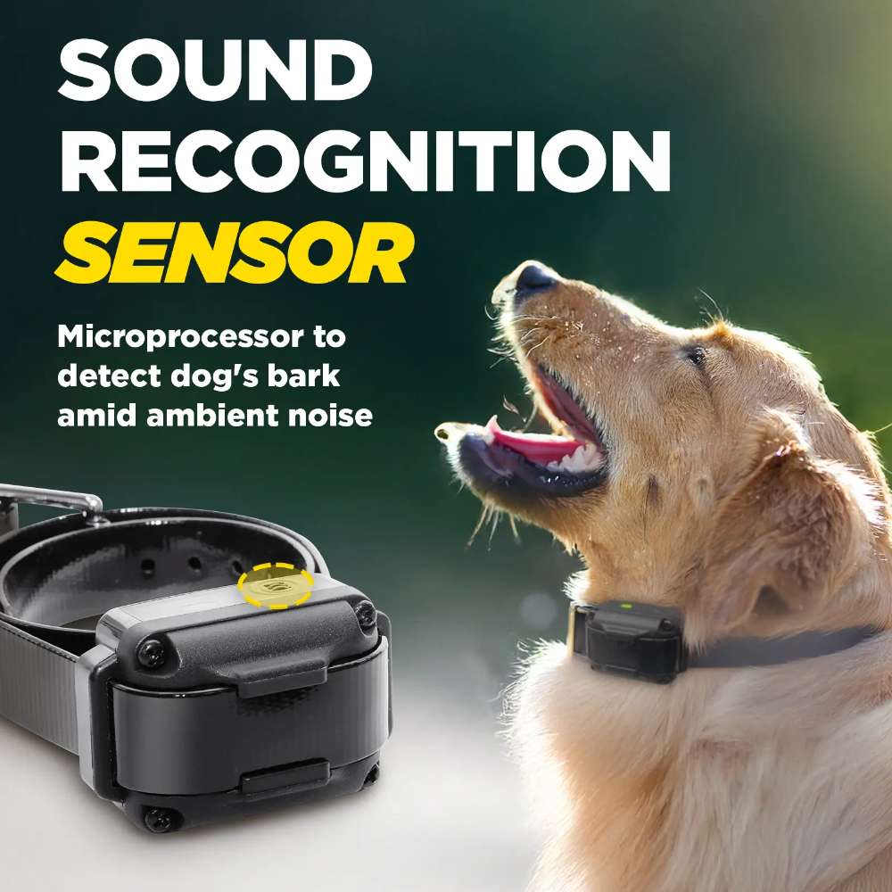 Dogtra iQ VIBE Dog Bark Control Collar is plugged in, highlighting its fast two-hour quick charge feature