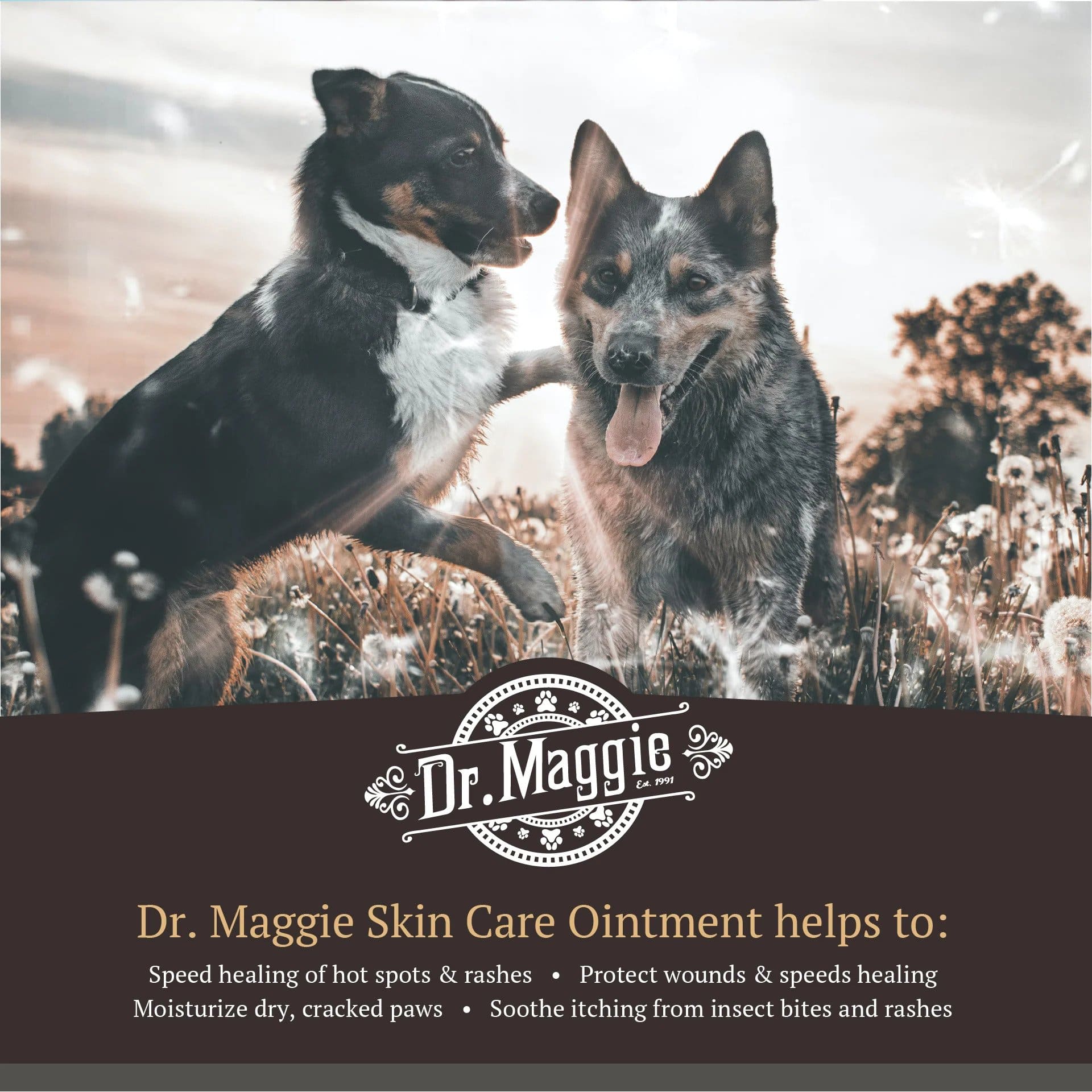 Dr. Maggie Skin Care Ointment Benefits