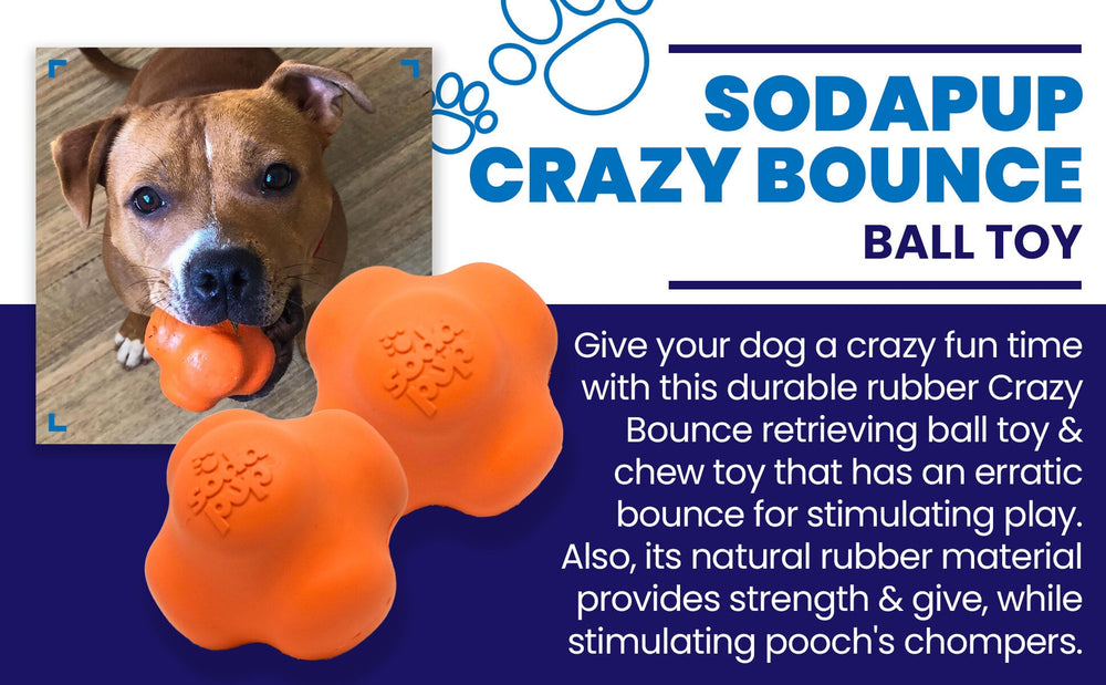 Crazy Bounce Ultra Durable Rubber Chew & Retrieving Toy