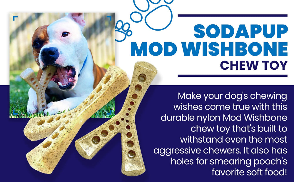 MOD Wishbone Ultra Durable Nylon Dog Chew Toy