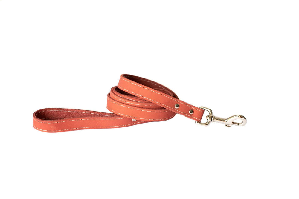 Eurodog Collar Soft Leather Dog Leash Very Soft Coral