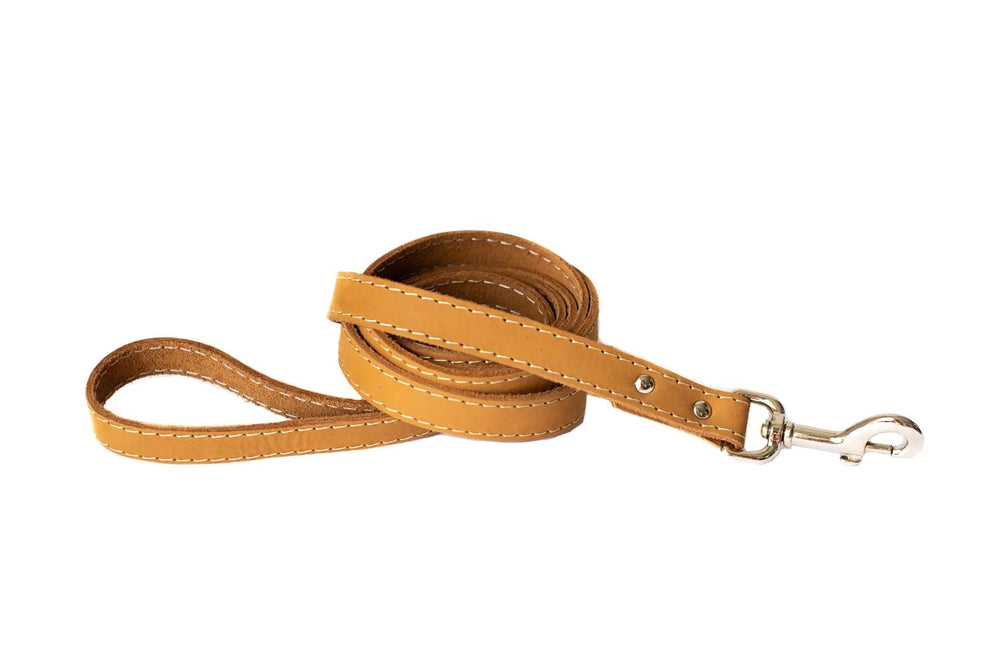 Eurodog Collar Soft Leather Dog Leash Very Soft Tan