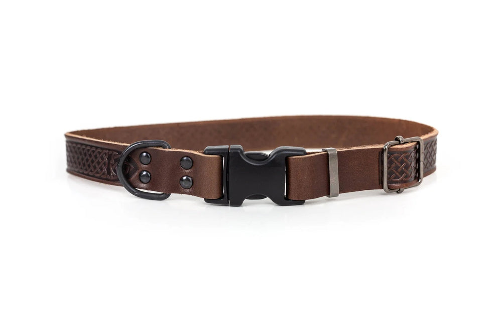 Eurodog Collars Celtic Sport Style Soft Leather Dog Collar Chocolate