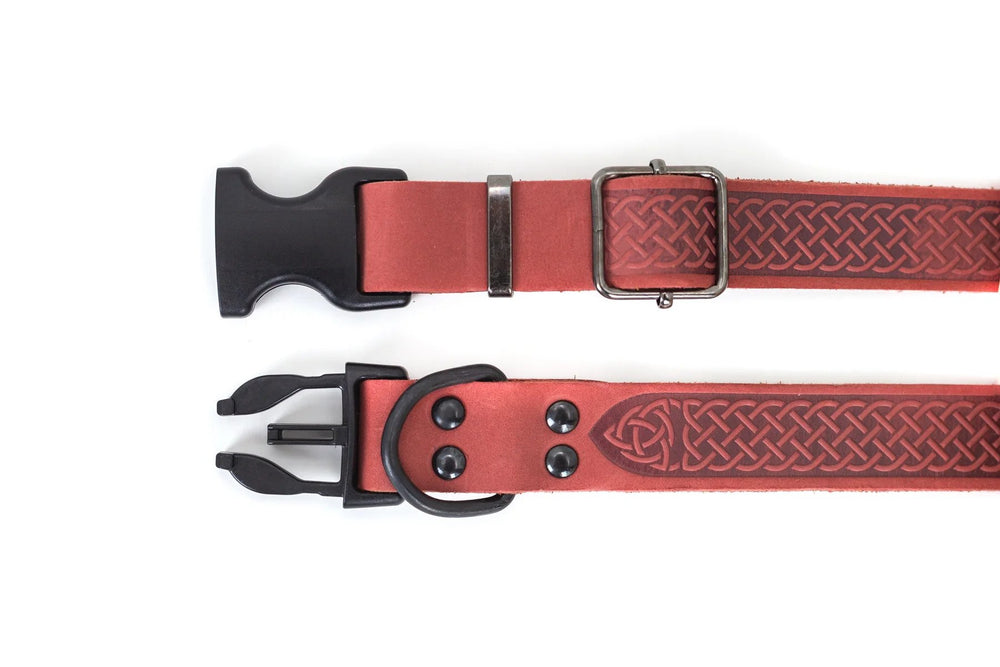 Eurodog Collars Celtic Sport Style Soft Leather Dog Collar Coral Buckle