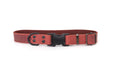 Eurodog Collars Celtic Sport Style Soft Leather Dog Collar Colar