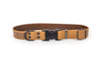 Eurodog Collars Celtic Sport Style Soft Leather Dog Collar Tan 