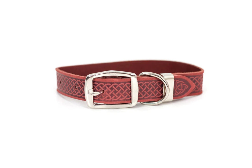 Eurodog Collars Celtic Style Luxury Leather Dog Collar Coral