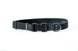 Eurodog Collars Sport Style Soft Leather Quick Release Buckle Dog Collar Black-Very-Soft-Leather