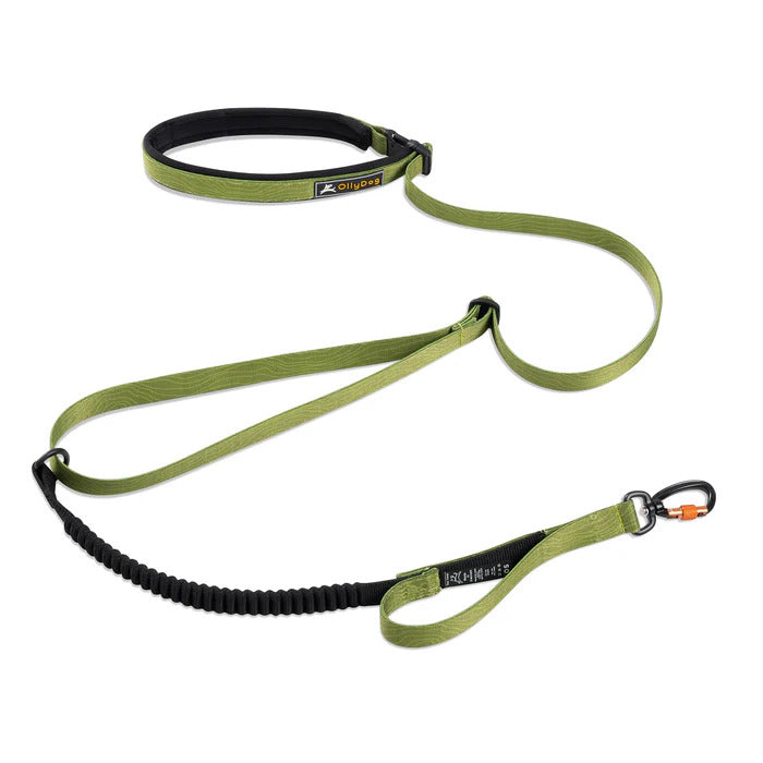 Olly Dog Adjustable Spring Leash