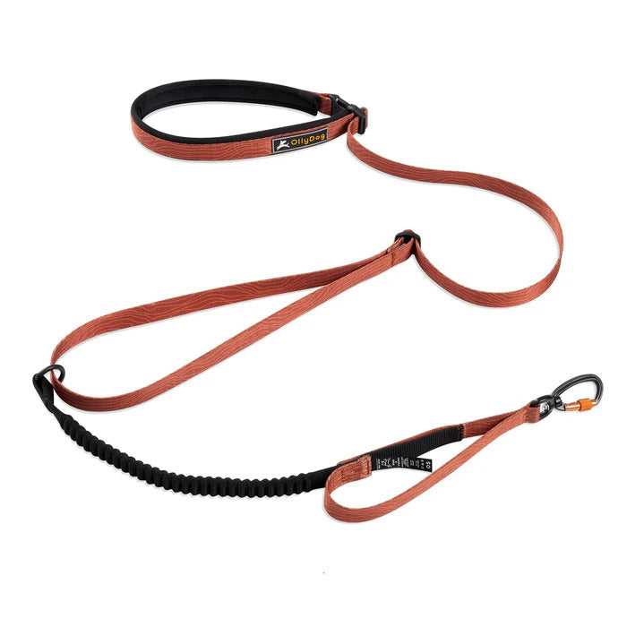 Olly Dog Adjustable Spring Leash