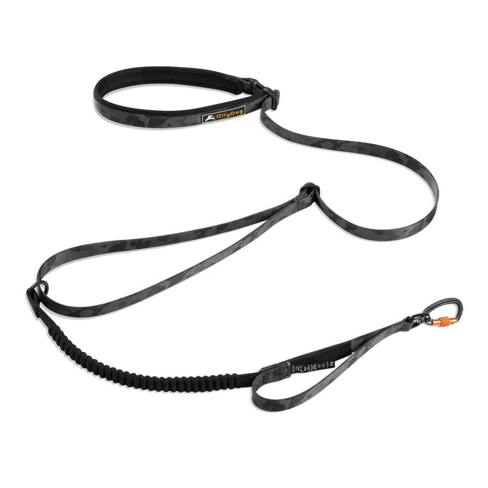 Olly Dog Adjustable Spring Leash