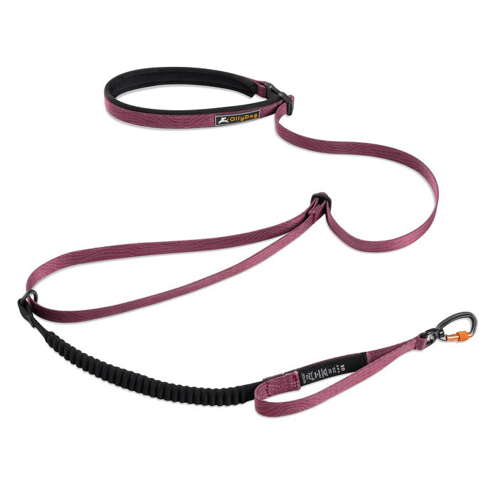 Olly Dog Adjustable Spring Leash