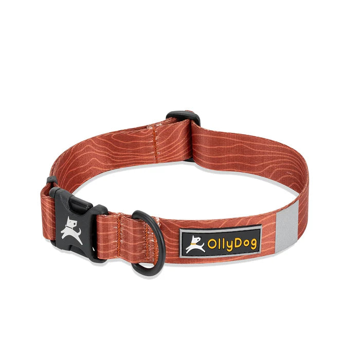 Olly Dog Flagstaff Adjustable Collar