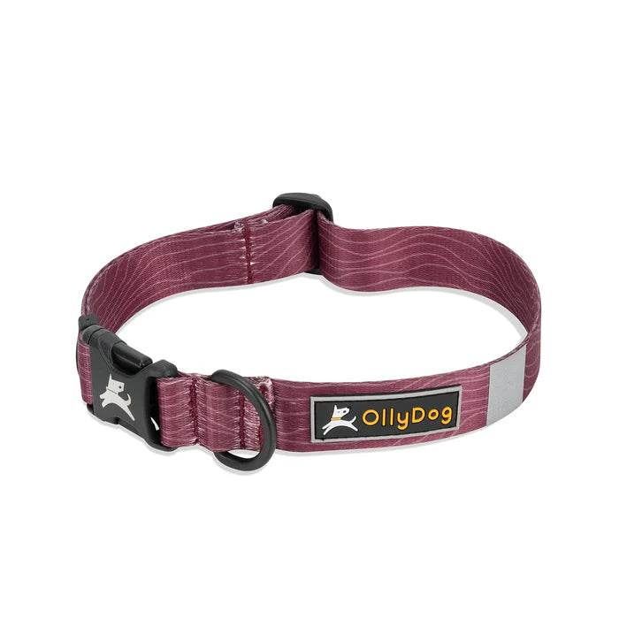 Olly Dog Flagstaff Adjustable Collar