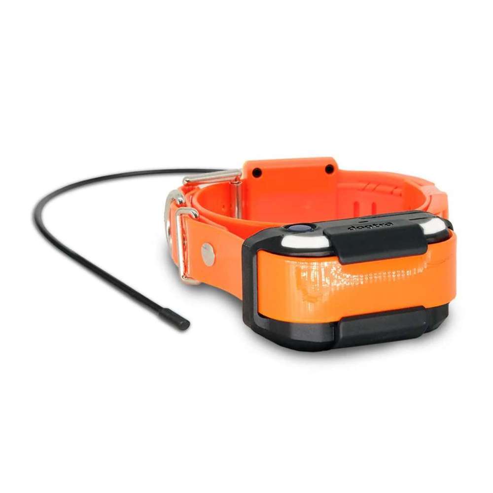 Flat-lay of the orange Dogtra Pathfinder2 TRX Extra Receiver Collar shows the device with its antenna extended