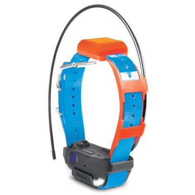 Front view of the blue and orange Dogtra Pathfinder2 TRX Extra Receiver Collar highlights its curved strap and compact tracker