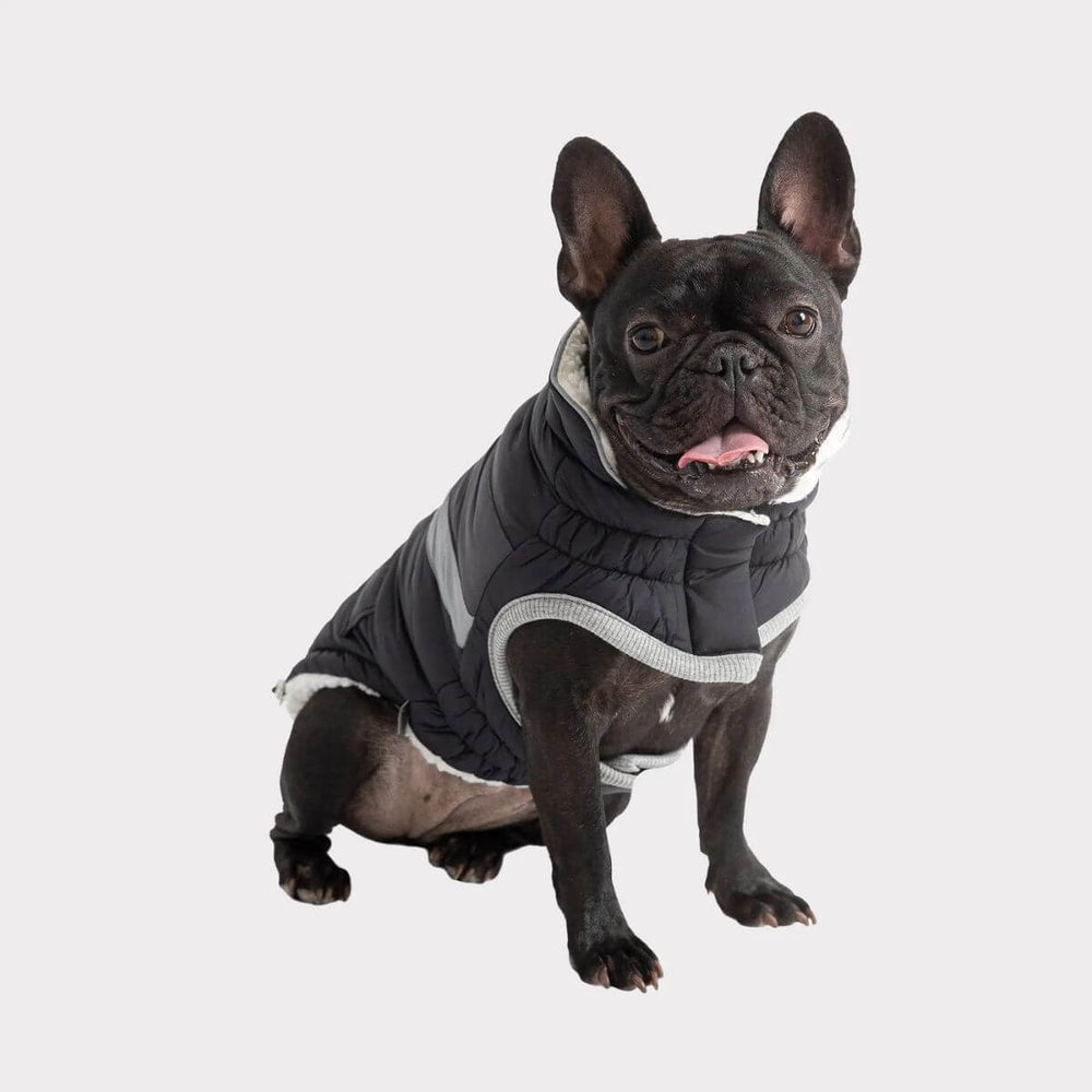 GF PET Alpine Puffer Winter Dog Jacket Black Made To Hug