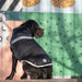 GF PET Alpine Puffer Winter Dog Jacket Black Retro Chevron Design