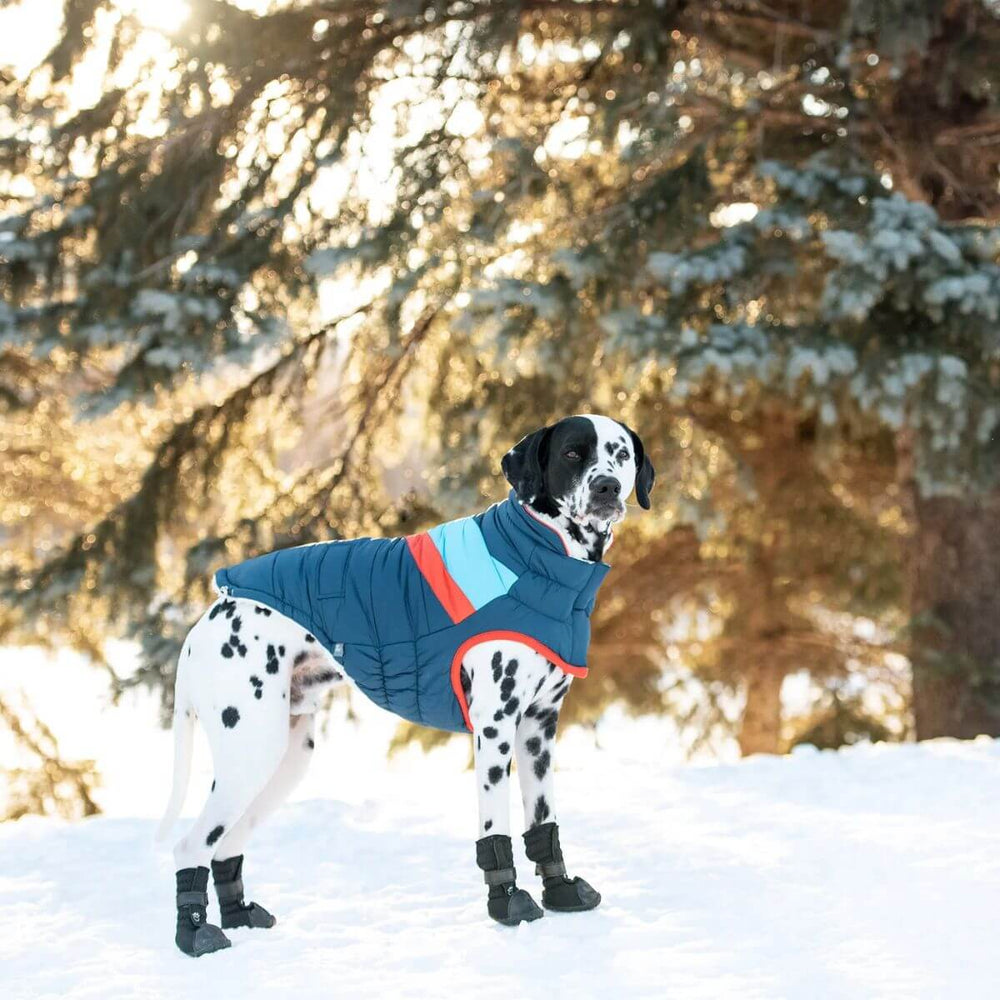 GF PET Alpine Puffer Dog Jacket Dark Blue Retro Chevron Design