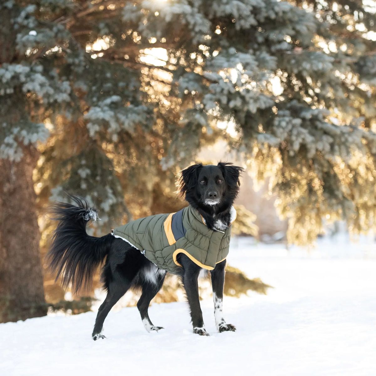 GF PET Alpine Puffer Dog Jacket Dark Khaki 