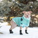 GF PET Alpine Puffer Dog Jacket Light Aqua Secure Ribbed Arm Holes