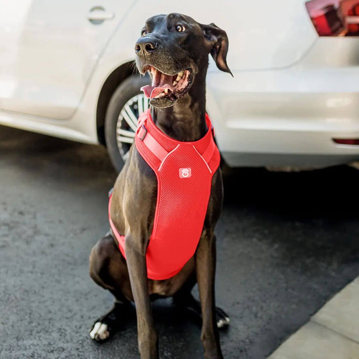 GF PET Dog Travel Harness Red Authentic Rubber Logo Patch
