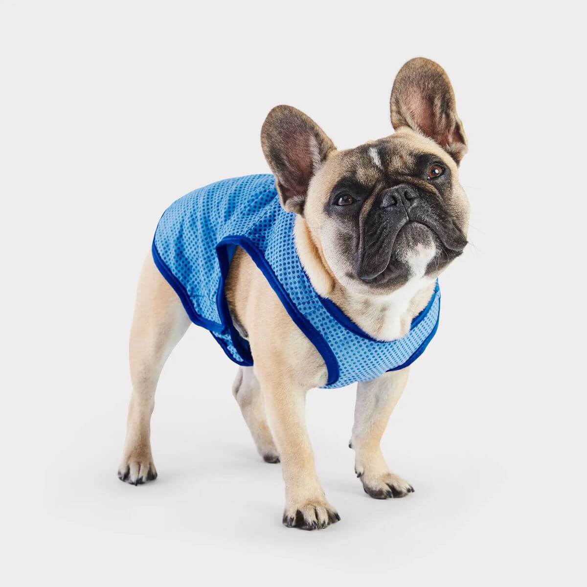 GF PET Elasto Fit® Ice Vest® Dog Cooling Vest Lightweight