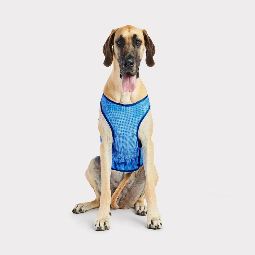 GF PET Elasto Fit® Ice Vest® Dog Cooling Vest Perfect Fit