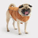 GF PET Insulated Dog Raincoat Hazel Elasto Fit