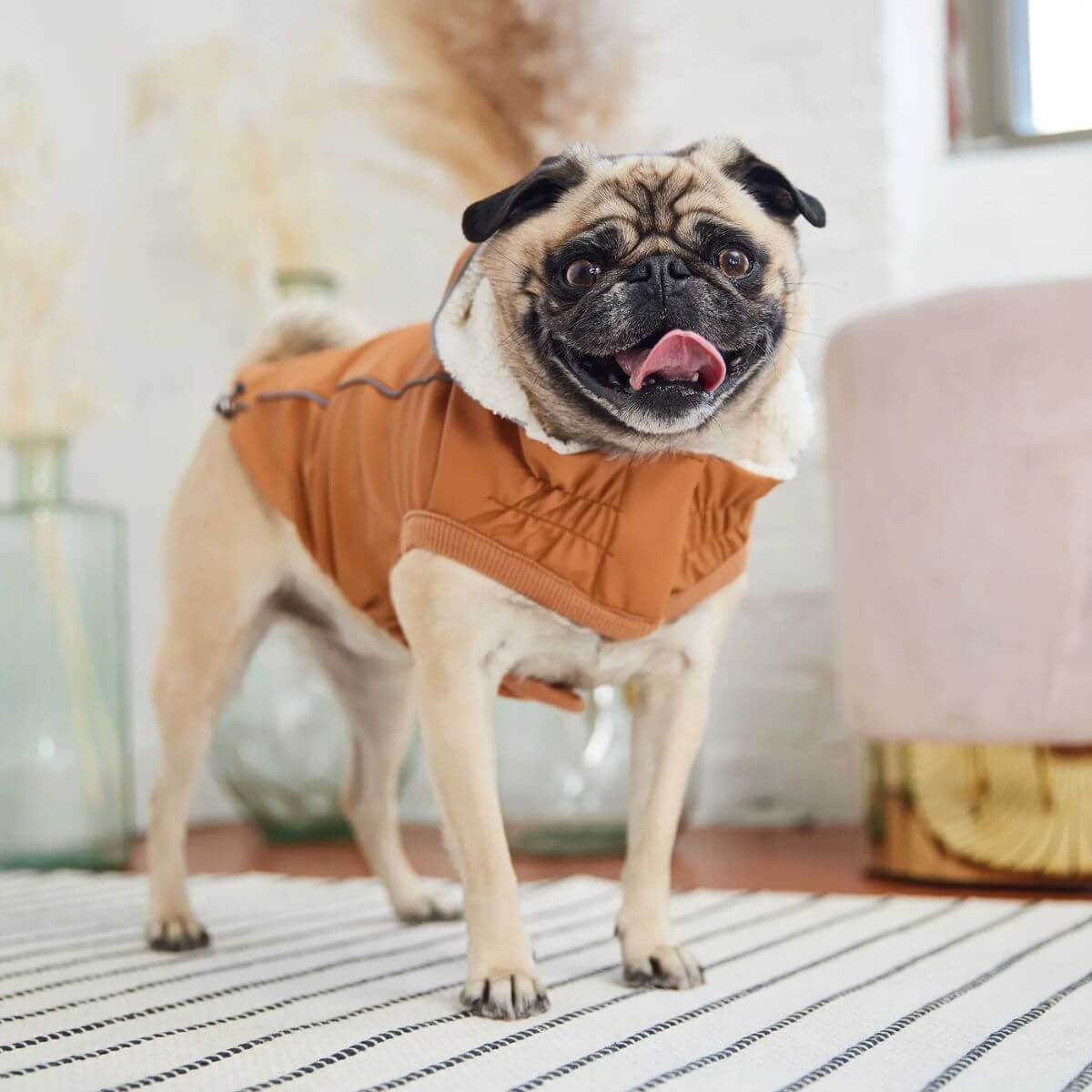 GF PET Insulated Dog Raincoat Hazel Tuckable Rain Hood