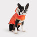 GF PET Insulated Dog Raincoat Orange Elasto Fit