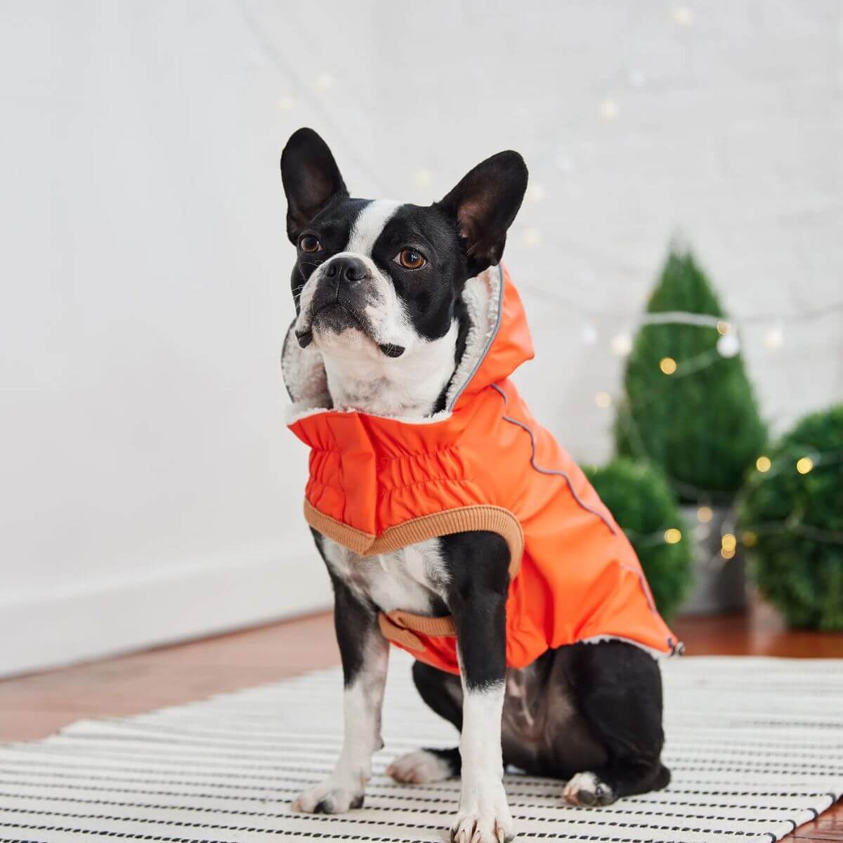 GF PET Insulated Dog Raincoat Orange Tuckable Rain Hood