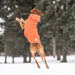 GF PET Insulated Dog Raincoat Orange Waterproof