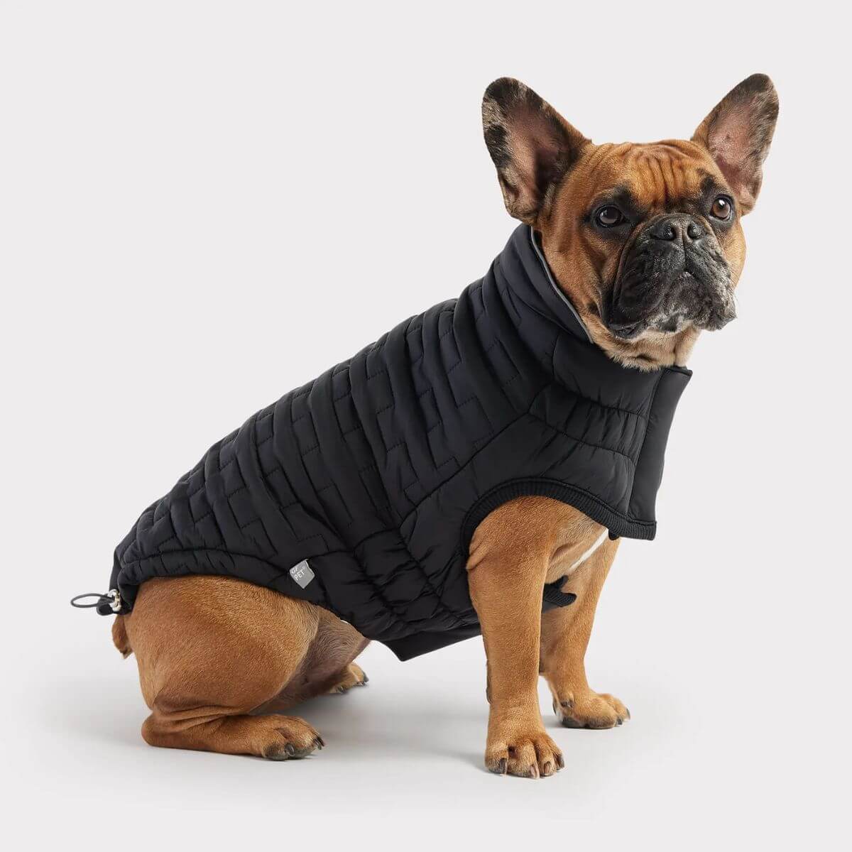 GF PET Reversible and Water Resistant Chalet Dog Jacket Black Bungee Cord With Stoppers