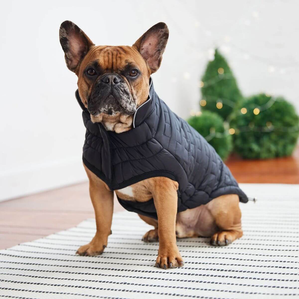 GF PET Reversible and Water Resistant Chalet Dog Jacket Black Reflective Piping