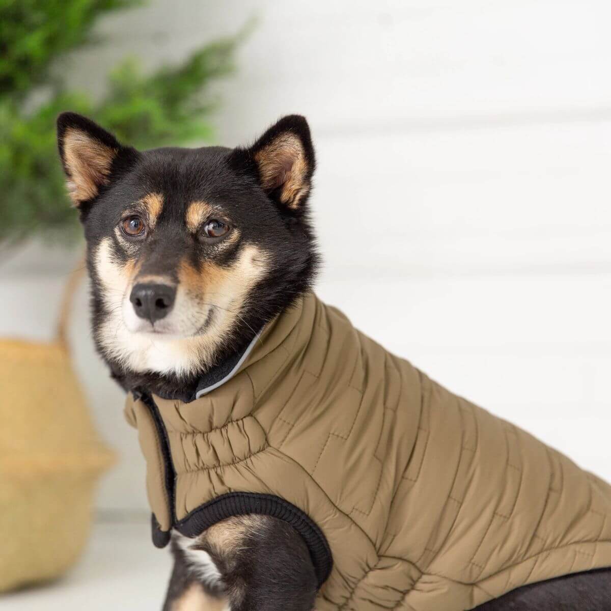 GF PET Reversible and Water Resistant Chalet Dog Jacket Khaki Reflective Piping