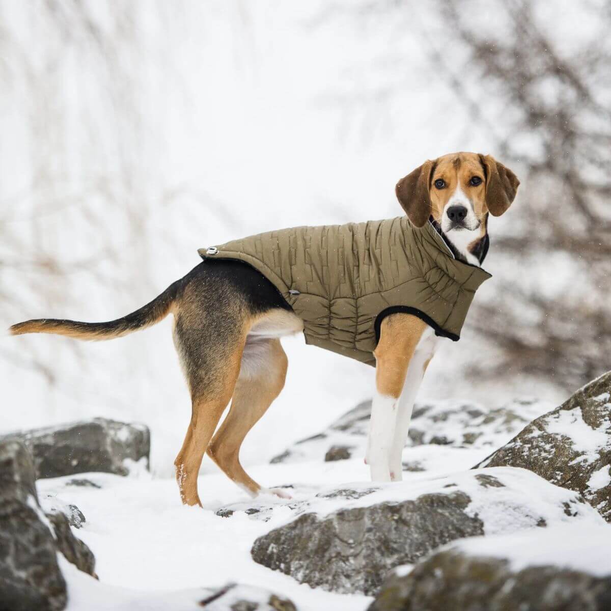 GF PET Reversible and Water Resistant Chalet Dog Jacket Khaki Water Resistant