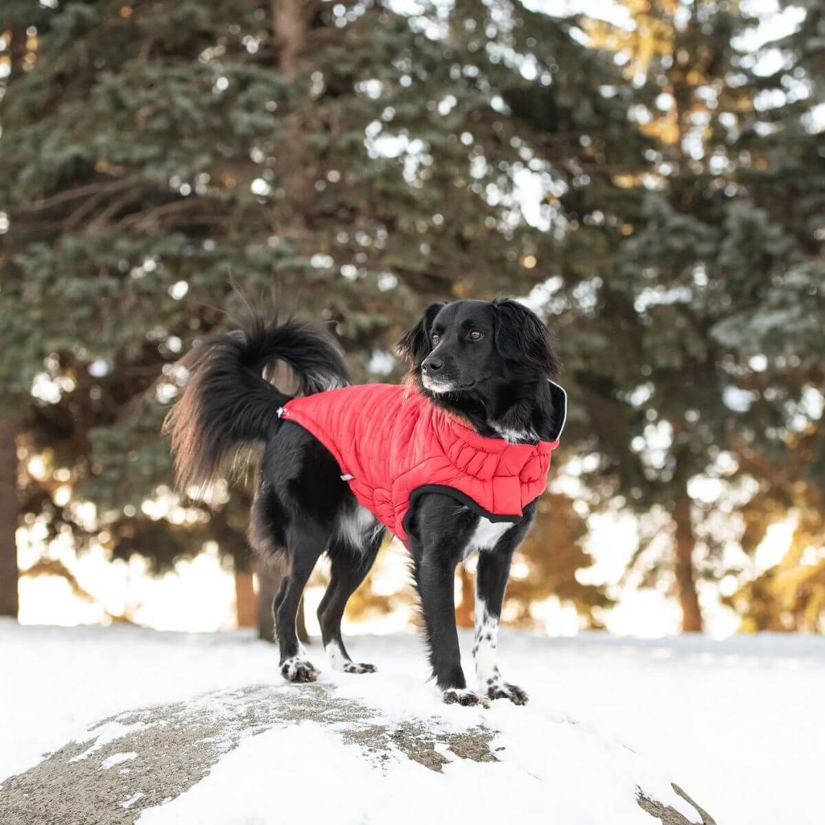 GF PET Reversible and Water Resistant Chalet Dog Jacket Red Water Resistant