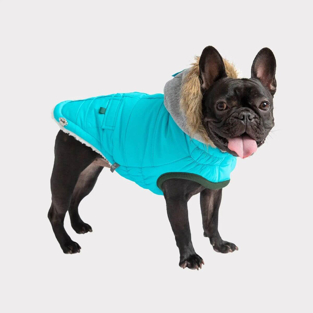 GF PET Winter Sailor Dog Parka Aqua Pocket Tabs