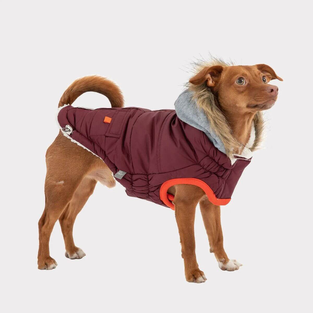 GF PET Winter Sailor Dog Parka Burgundy Pocket Tabs