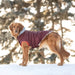 GF PET Winter Sailor Dog Parka Burgundy Water Repellant Nylon Shell