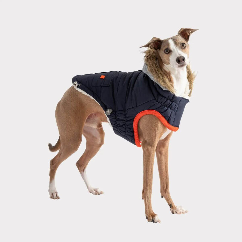 GF PET Winter Sailor Dog Parka Navy Pocket Tabs