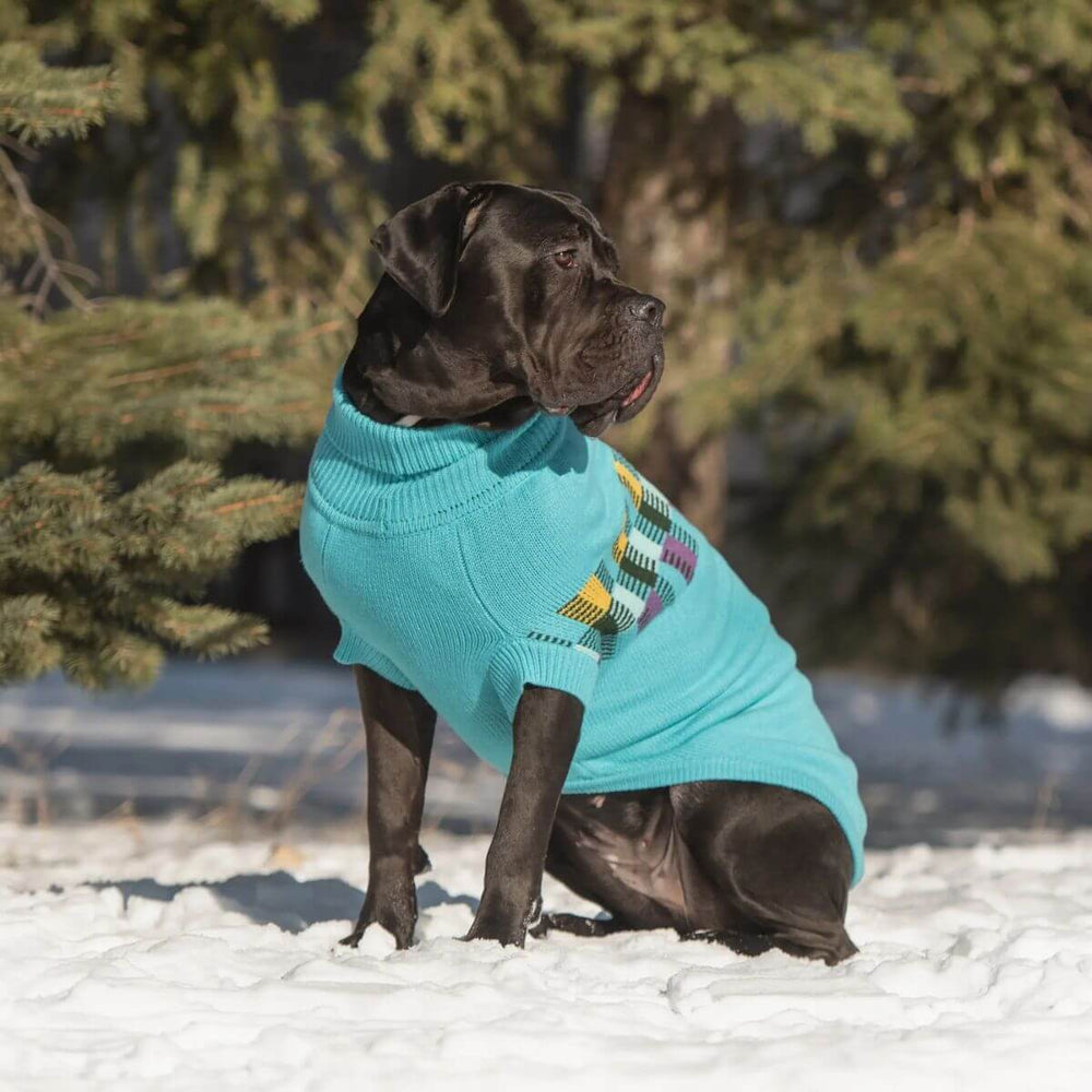 GF PET Winter Sailor Dog Sweater Aqua Blue Quality Multi knit