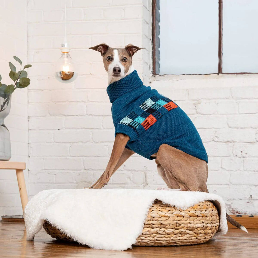 GF PET Winter Sailor Dog Sweater Blue Unisex Turtleneck