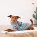 GF PET Winter Sailor Dog Sweater Grey Unisex Turtleneck