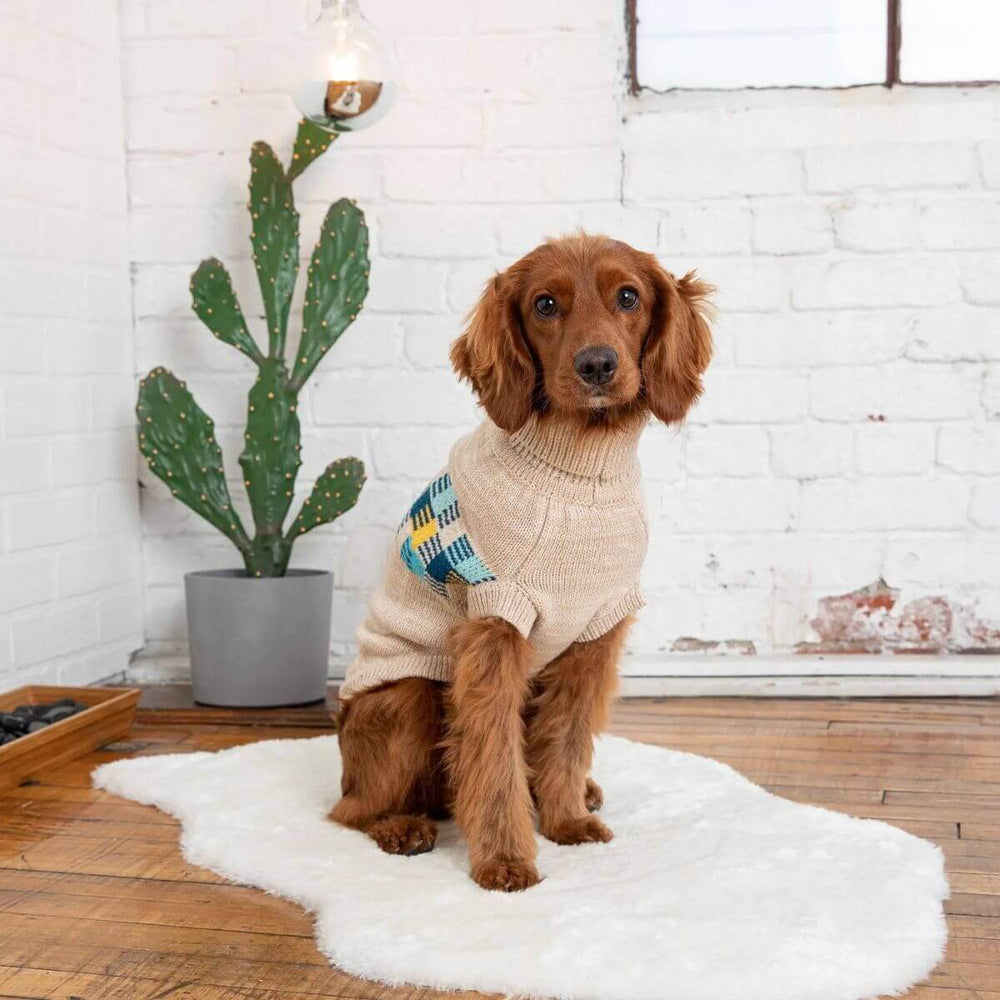 GF PET Winter Sailor Dog Sweater Oatmeal Quality Multi knit