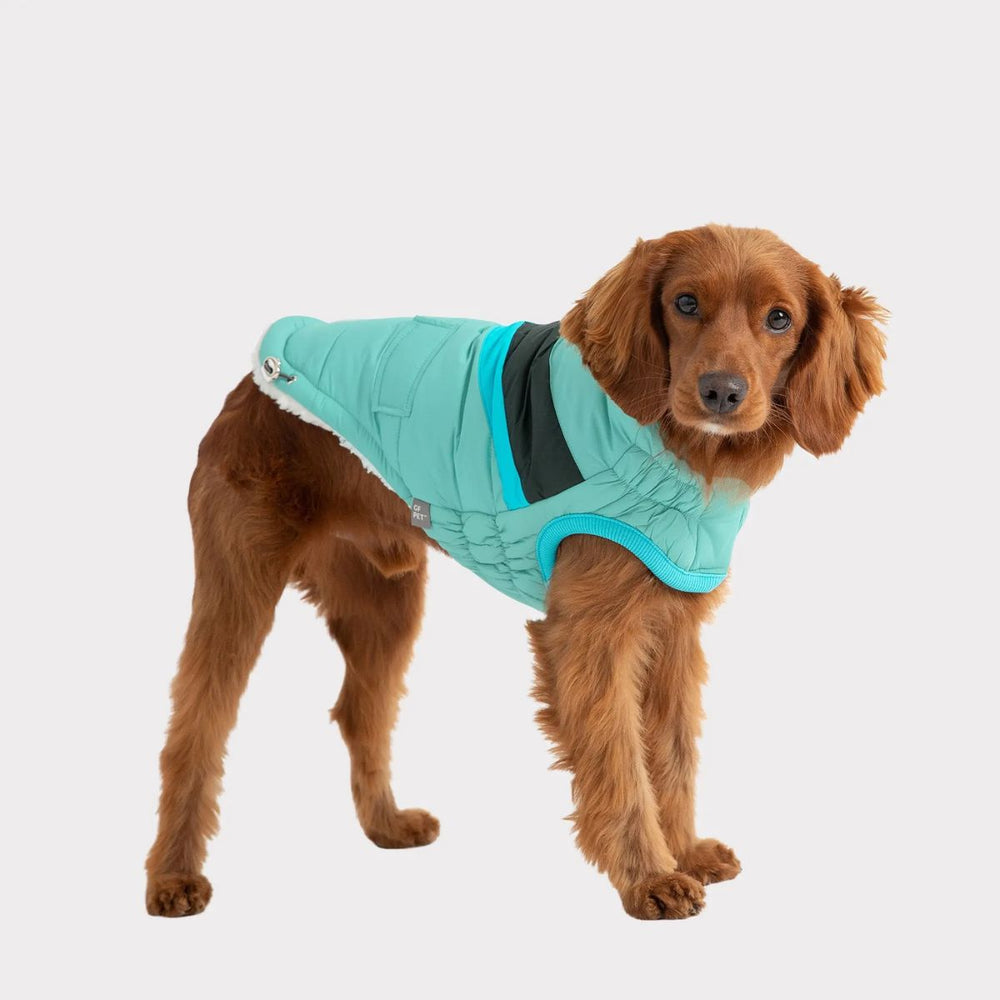 GF PET Alpine Puffer Winter Dog Jacket Light Aqua Retro Chevron Design